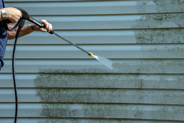 Best Pressure Washing Driveway  in Riverdale Park, CA