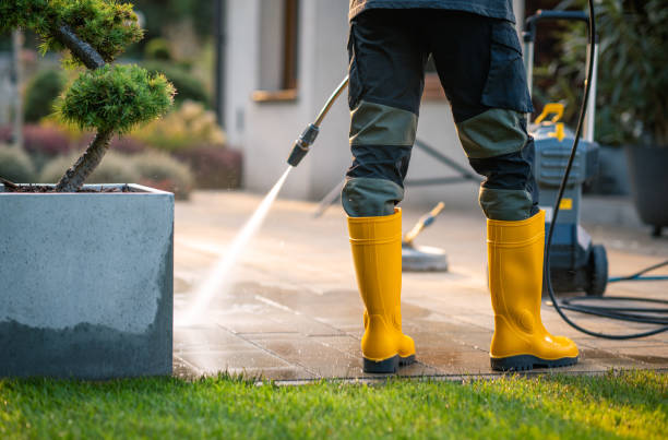 Best Roof Pressure Washing  in Riverdale Park, CA